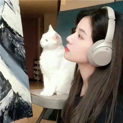欢乐叮当